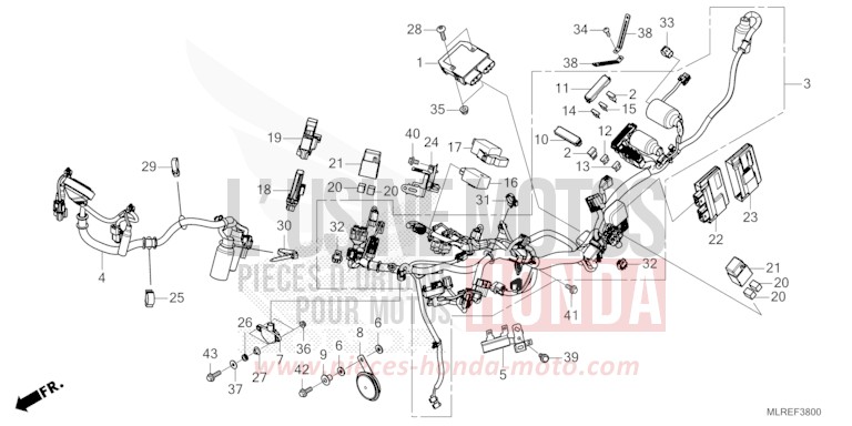 FAISCEAU DES FILS de Hornet 500 GRAND PRIX RED (R380) 2024